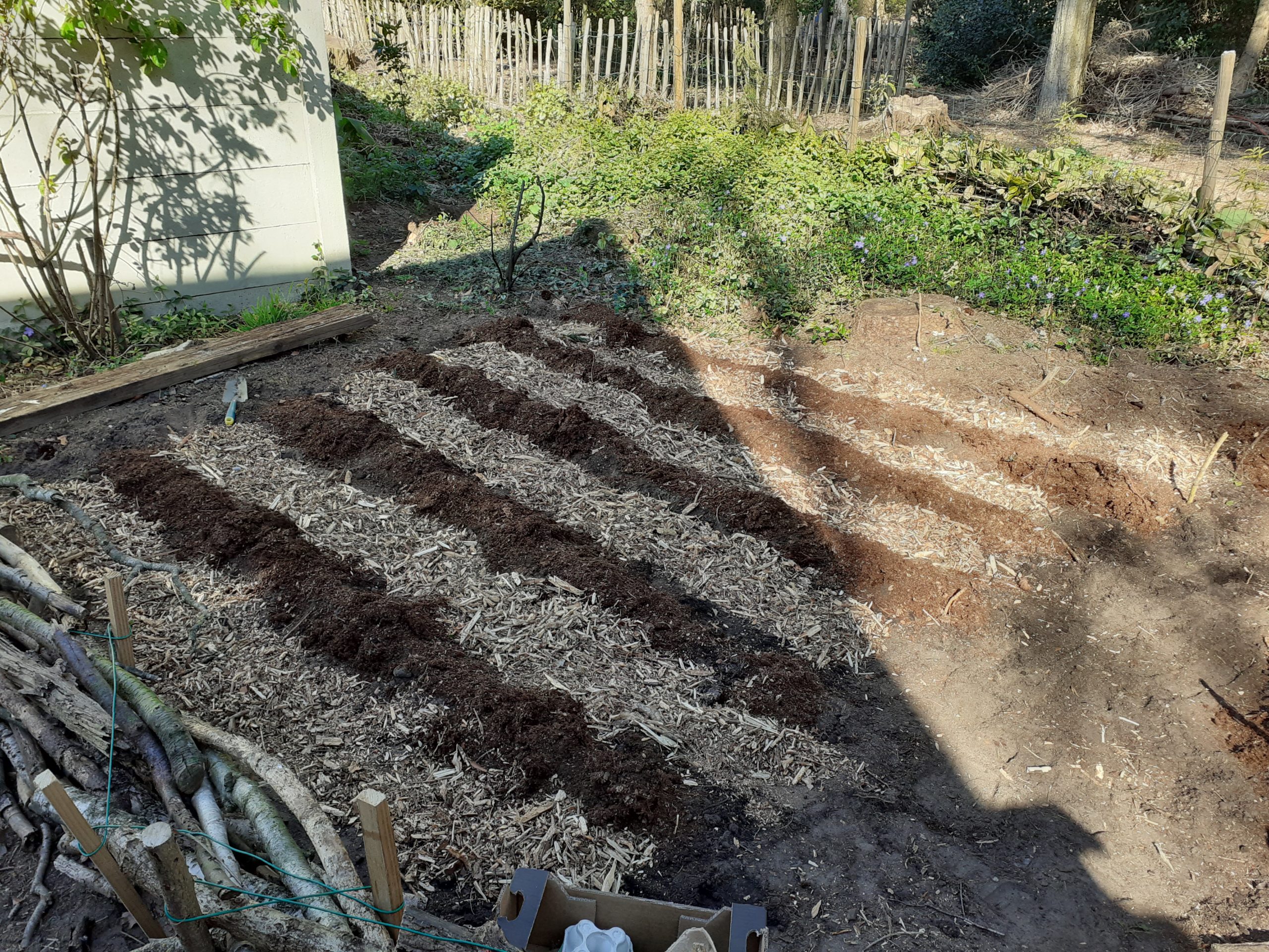 week 14  in de moestuin