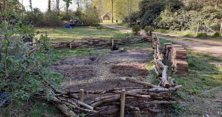week 16 in de moestuin