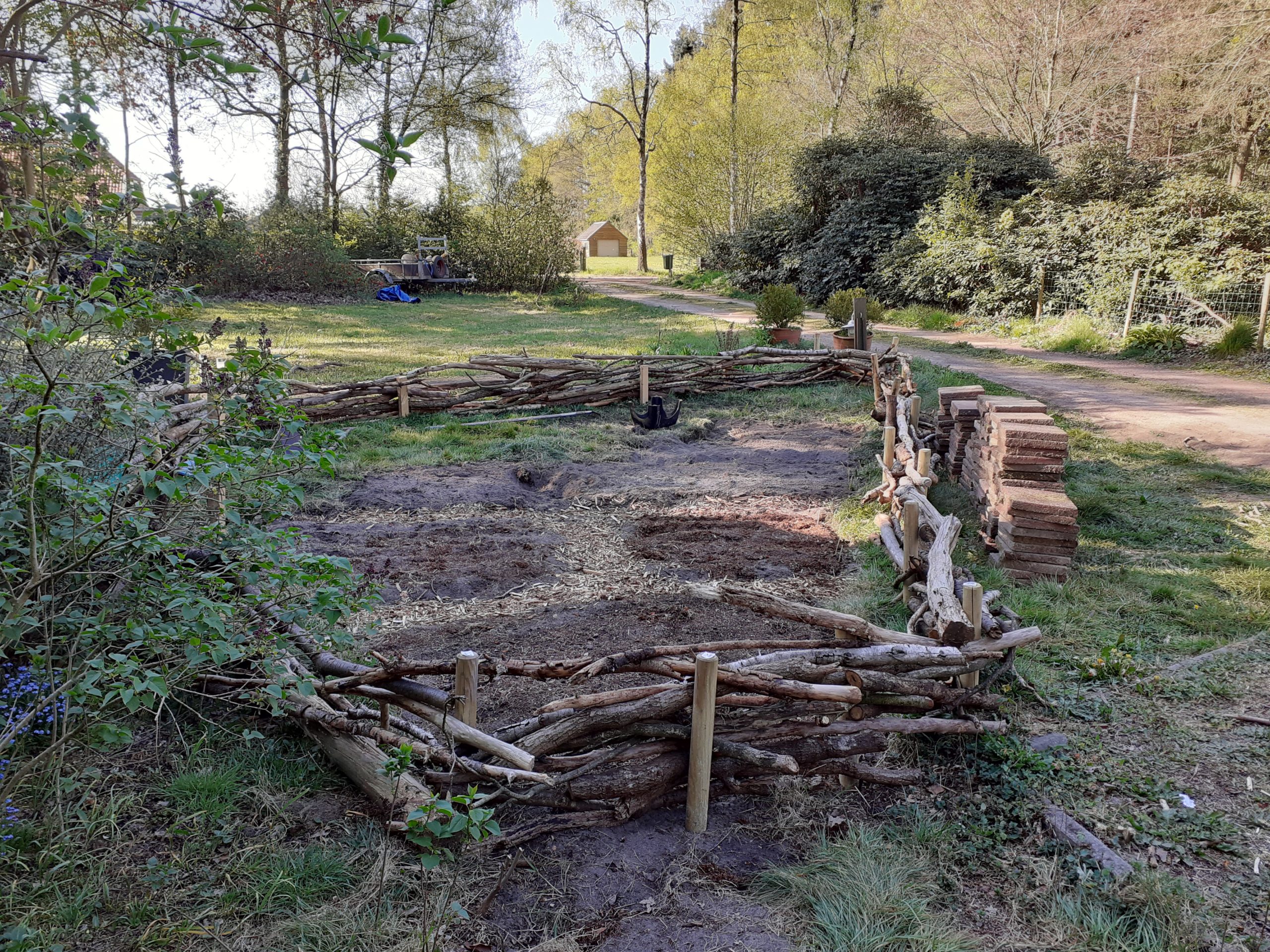 week 16 in de moestuin