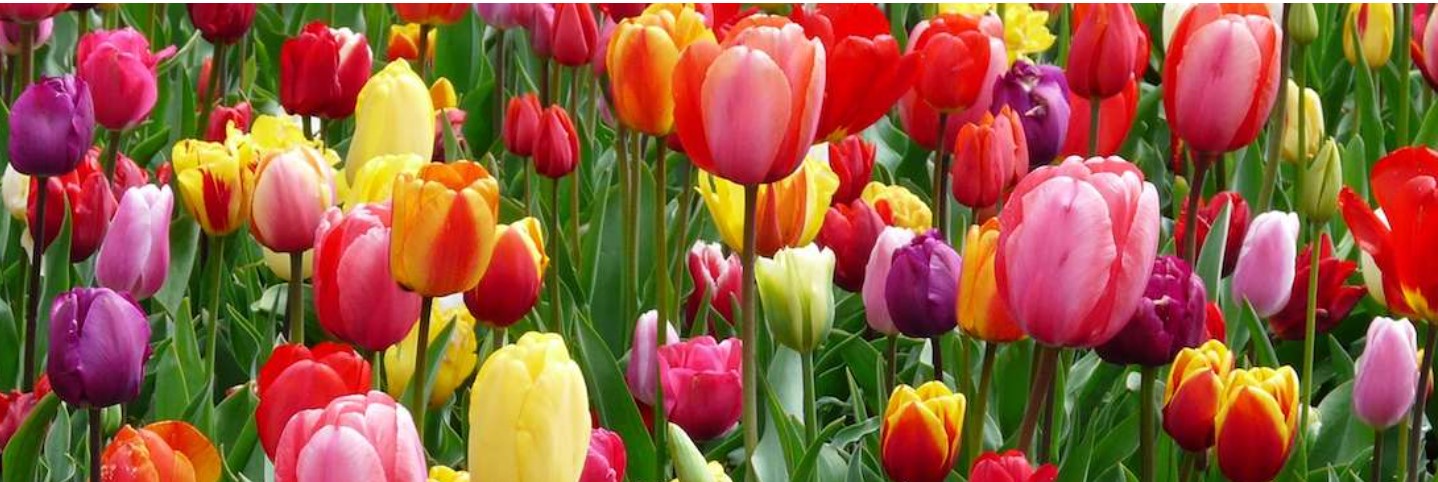 Zaterdag 22 april 2023 Buurtrestaurant in de inspiratieloods in Epse